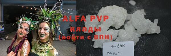 стаф Баксан