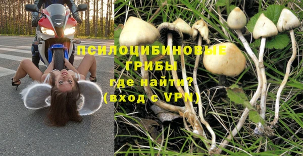 стаф Баксан