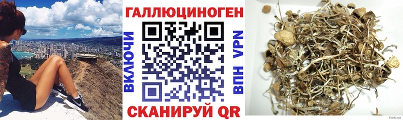 Галлюциногенные грибы GOLDEN TEACHER  наркота  Колпашево 